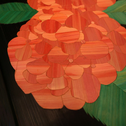 Hortensia rose boule fond noir