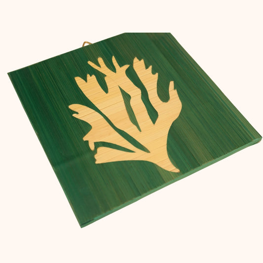 Algues naturelle fond vert