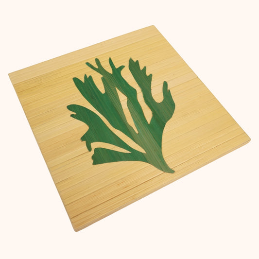 Algues vert fond naturel