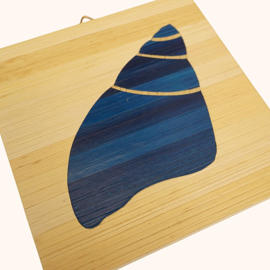 Conque bleu fond naturelle