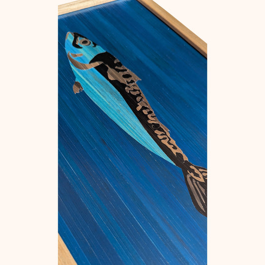 Maquereau fond bleu