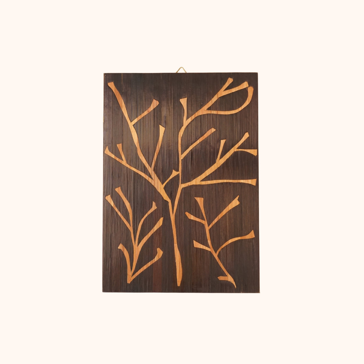 Algues marron fond noir
