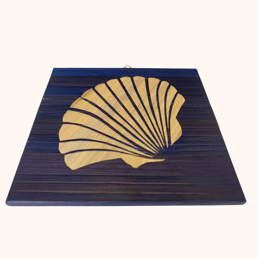 Coquille Saint-Jacques gris clair fond bleu