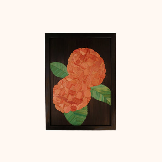 Hortensia rose boule fond noir
