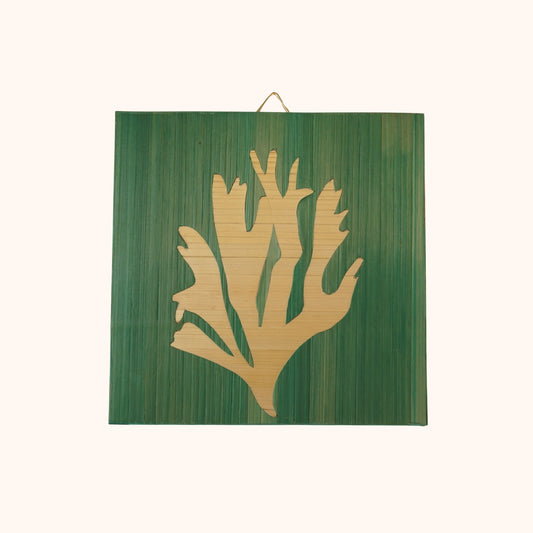 Algues naturelle fond vert