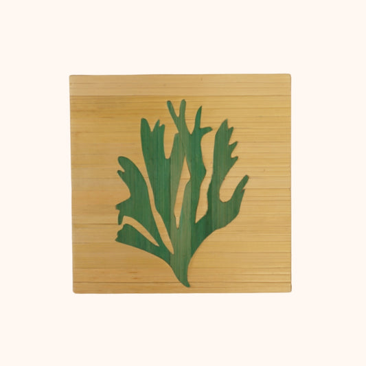 Algues vert fond naturel