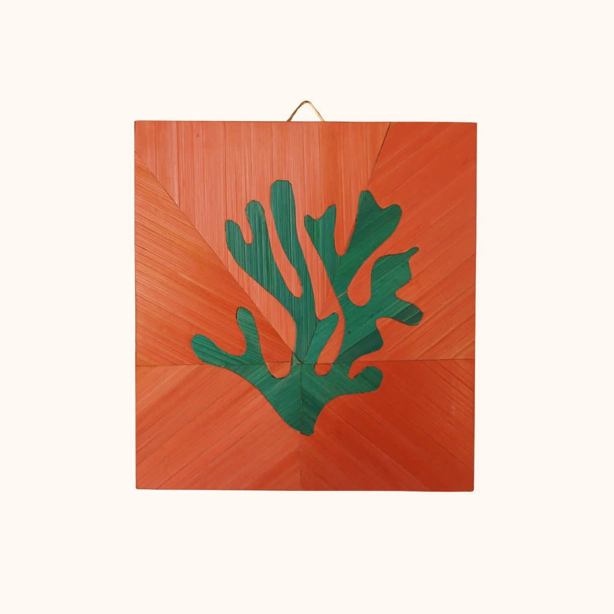Algues vert fond corail