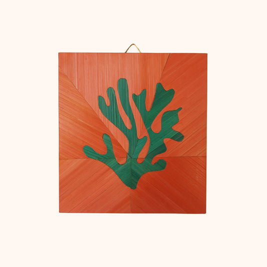 Algues vert fond corail