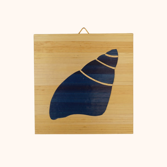 Conque bleu fond naturelle