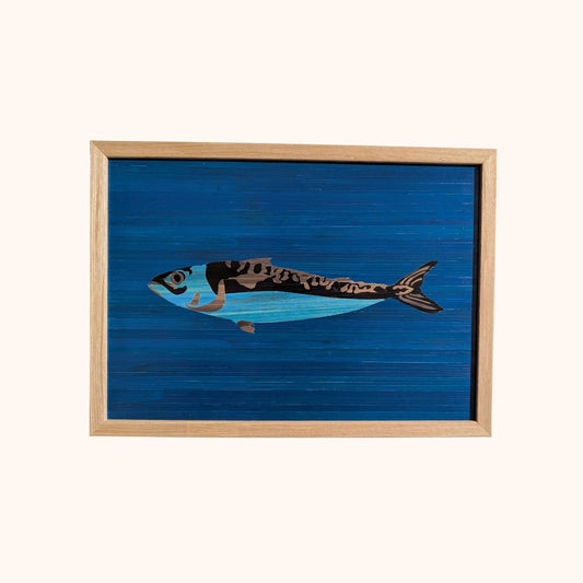Maquereau fond bleu