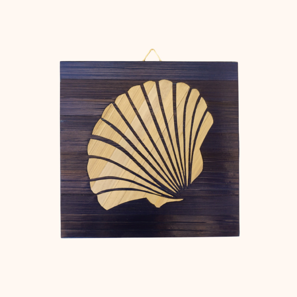 Coquille Saint-Jacques gris clair fond bleu